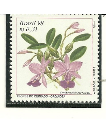 C2171 Pau-Santo - M 1017