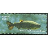 C2212 Dourado Mint  FC01047