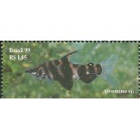 C2218 Abramites Mint   FC01053