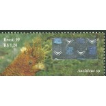 C2219 Ancistrus Mint  FC01054