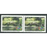 C2764 Animais Amazônicos - Ariranha 12.726 M