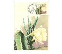 1983 M. Postal Oficial Nº84 , ano 1983 - Mandacaru - CBC Feira de Santana e Fortaleza  1255