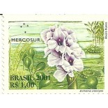 C2439 Aguapé Mint