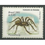 C2366 Phoneutria sp Mint  1294