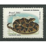 C2370 Lachesis muta Mint