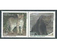 C3218/3217 - 2012 Jaguatirica-Gato Mourisco 14.942 M