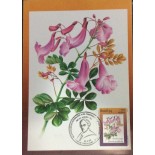 1994 Máx. Postal 182 Caroba 15.894