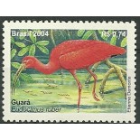 C2563 Guará Mint  FC01449