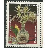 C2601 Priprioca Mint  1453