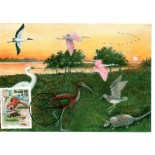 1995 Máximo Postal 202 Lubrapex 95 Ave/mamífero 16.285