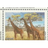 C2712/2007  Girafas Mint 1536