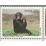 C2716 Chipanzé Mint