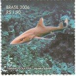 C2669 Cola-fina Mint
