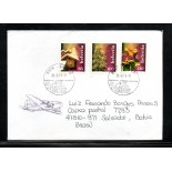 Suiça Natal 2007 - 24.038