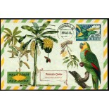 Máximo Postal (REPRODUÇÃO) 25.555 Papagaio