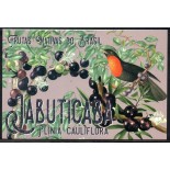 Postal Jabuticaba/Ave 25.559 Fauna e Flora