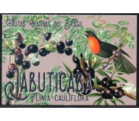 Postal Jabuticaba/Ave 25.559 Fauna e Flora