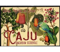 Postal Caju/Jandaia 25.560 Fauna e Flora