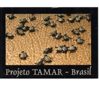 Projeto Tamar - Brasil - Filhotes 26.951