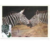 Portugal - Zebras26.960