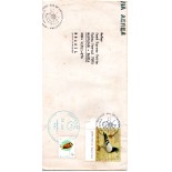 Argentina 1999 carta circulada 28.762