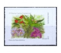 C3707 Flores da Mata Atlãntica Begônia Autoadesivos 30.106