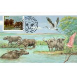 1984 Máx.Postal 103B Búfalo de Marajó - Mediterraneo 31.352 CBC - PA