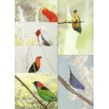 Aves Brasileiras - 06 Postais  226