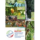 2012 Postais Rio + 20 Série completa 24 peças 31.706 Escassa