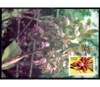 1987 2º Encontro Filatélico e Numismático Estadual em Santos  - SP 20/03/88 -  35.775