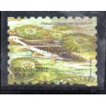 C2424 Surubim 36.008 Novo