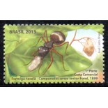 C3280 Formigas do Brasil - Formiga Tecelã 36.095