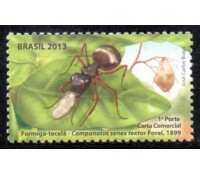 C3280 Formigas do Brasil - Formiga Tecelã 36.095