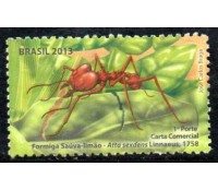 C3282 Formigas do Brasil - Saúva-Limão 36.096 Novo