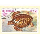 NICARÁGUA 1982 - CARIMBADO - 2,50  - 2913