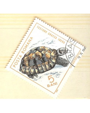 ROMÊNIA 1964 - CARIMBADO  2917