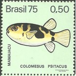 C888 N - MAMAIACU 1975