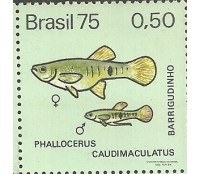 C889 N - BARRIGUDINHO 1975 -2938