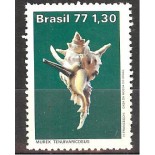 C994 - MOLUSCOS. - NOVO 3105 1977