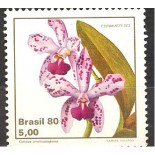 C1162 ORQUÍDEA CATTLEYA - N