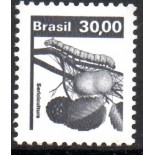 R613 Siricultura 6183 Mint