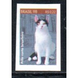R764 Gato Pelo Curto Brasileiro 7798 Mint