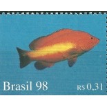 C2098 Peixe Dourado Mint