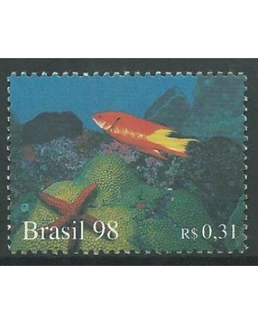 C2109 OCEANOS ESTRELA E CORAL 98 - 10.223 M