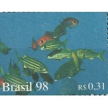 C2102 Cardume Mint
