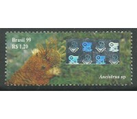 C2219 CHINA 99 - ANCISTRUS 10.288 M