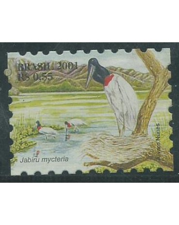 C2423 PANTANAL TUIUTI 2001 COLADO NO PROTETOR 10.472 Novo