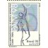 C2157 Basquete - N