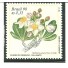 C2172 Lobeira - M
