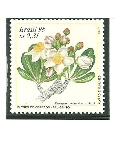 C2172 Lobeira - M